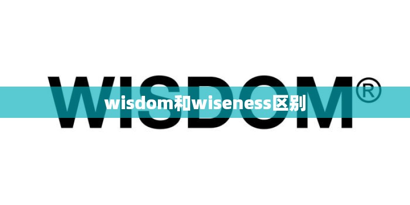 wisdom和wiseness区别