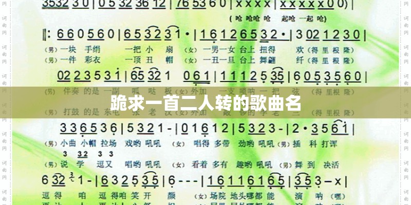 路小雨和蒲公英的约定间奏有什么区别