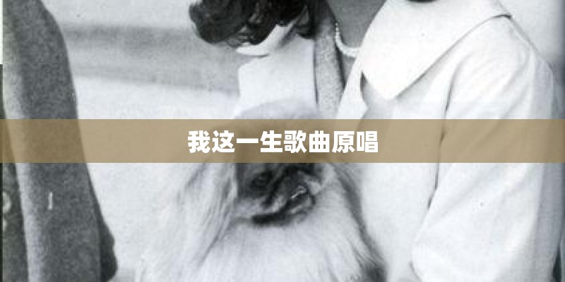 就比较难唱的RAP类歌曲~