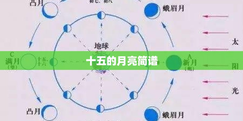 十五的月亮简谱