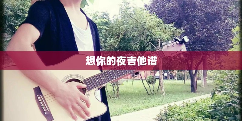 想你的夜吉他谱