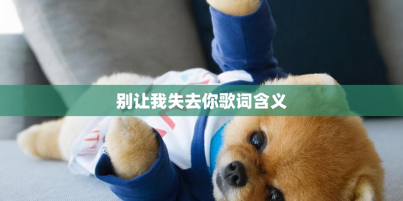 别让我失去你歌词含义