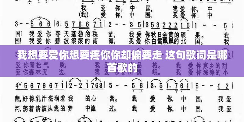 我想要爱你想要疼你你却偏要走 这句歌词是哪首歌的 我想要爱你想要疼你你却偏要走 这句歌词是哪首歌的