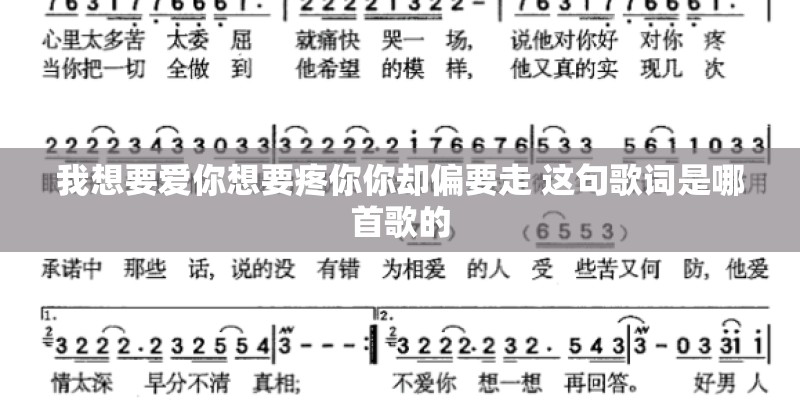 我想要爱你想要疼你你却偏要走 这句歌词是哪首歌的 我想要爱你想要疼你你却偏要走 这句歌词是哪首歌的